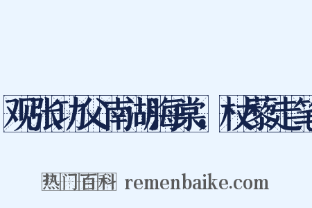 观张功父南湖海棠，杖藜走笔是什么意思的图片
